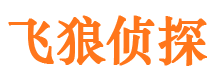 双塔市私家侦探